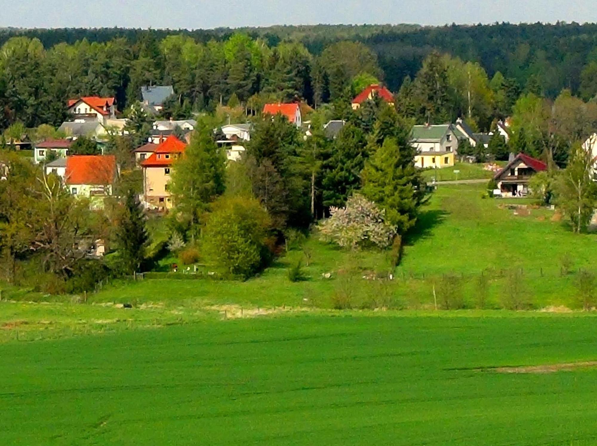 Ferienwohnung Deutschmann Dahlen Ngoại thất bức ảnh
